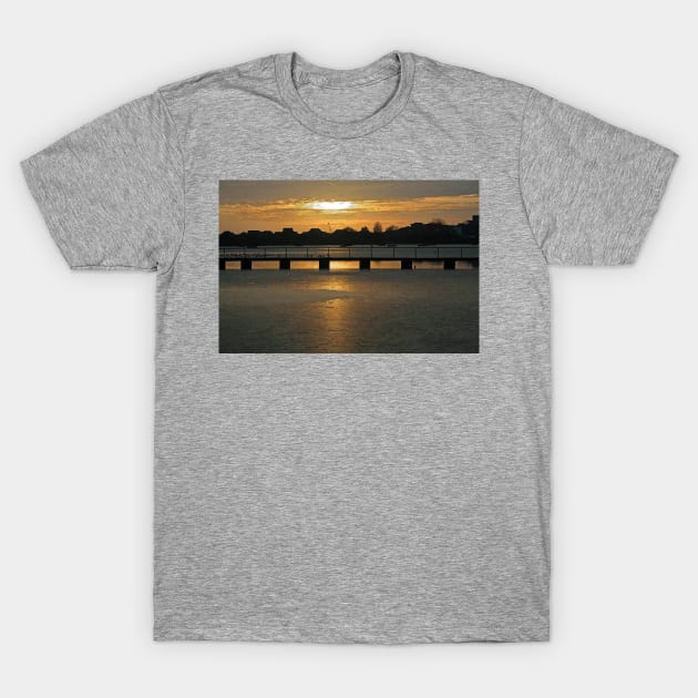 Poole Park Lake T-Shirt by RedHillDigital